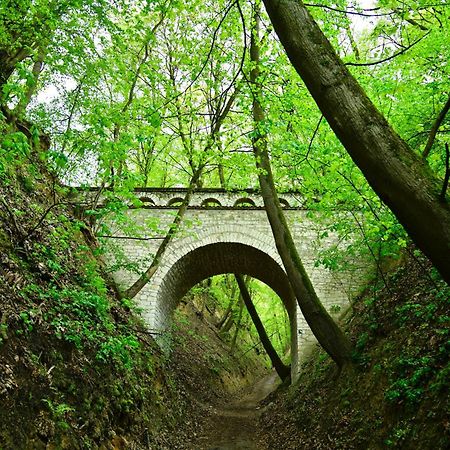 Готель Kamienica Biala Казімеж-Дольний Екстер'єр фото